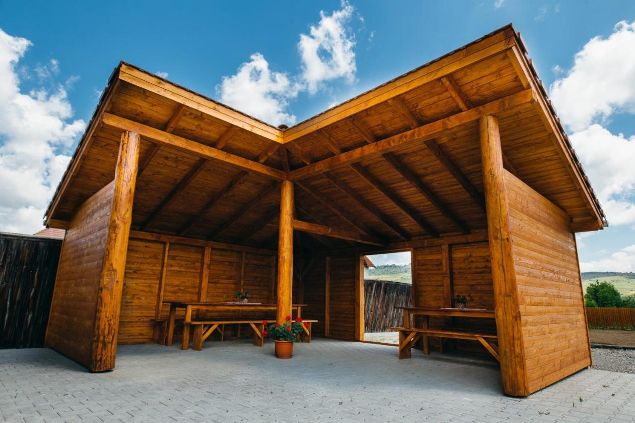 Vendegvaro Panzio Lupeni  Exterior foto